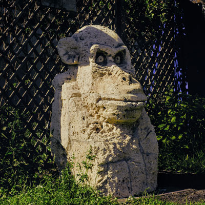 Thomas Mutschler Hektor