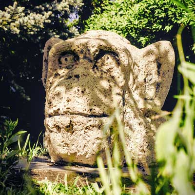 Thomas Mutschler Karla